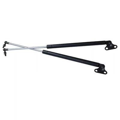 Tailgate Struts on a white background