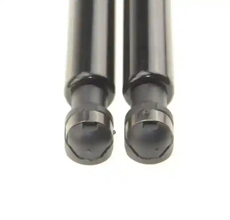 Bonnet Struts